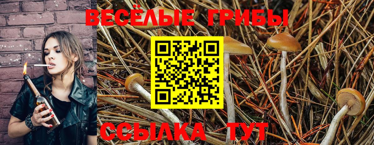 Галлюциногенные грибы мицелий  Вход с VPN  Вязьма 